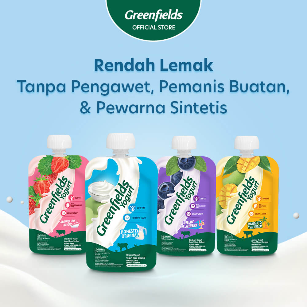 Yogurt Pouch Honestly Original