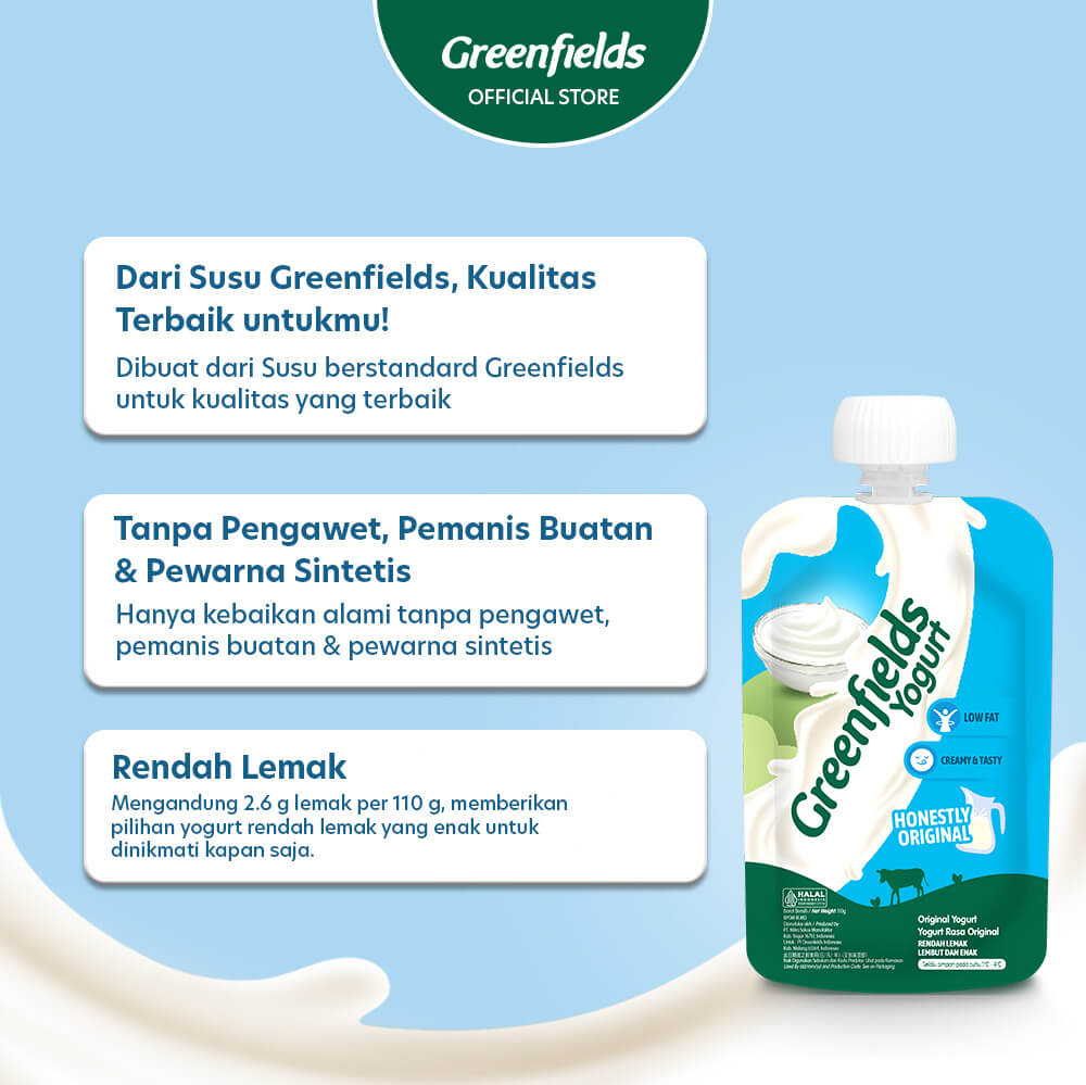 Yogurt Pouch Honestly Original