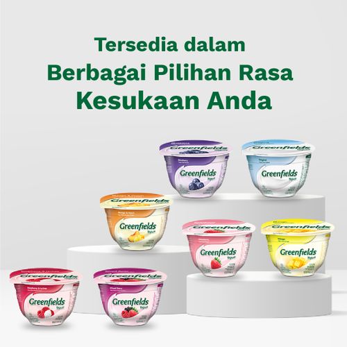 Yogurt Cup Plain