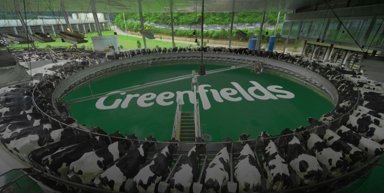 Rahasia Susu Segar Aman & Bernutrisi: Ini Alasan Greenfields Pilih Pasteurisasi