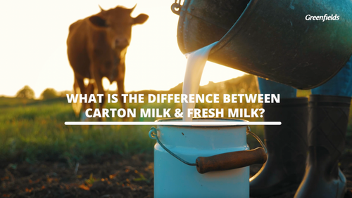What Is The Difference Between Carton Milk Vs Fresh Milk?
