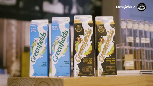 Resep After 8 Chocolate Drink Singapura