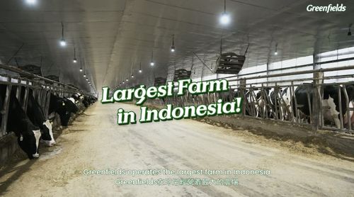 Greenfields Fresh Milk - Our Farm, Your Glass (Full Version)